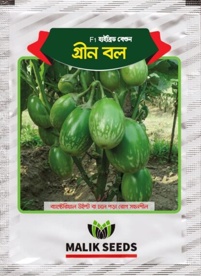 হাইব্রিড বেগুন- গ্রীন বল (green ball begun - Image 2